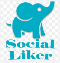 Top-Follow-alternatives-to-boost-social-media-following
